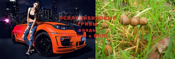 трава Новозыбков