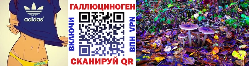 как найти закладки  Арзамас  Псилоцибиновые грибы Cubensis 