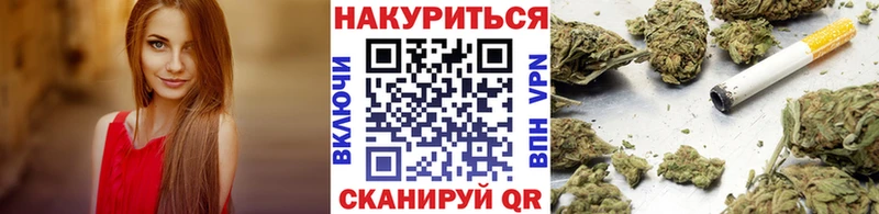 где можно купить   Арзамас  Конопля семена 